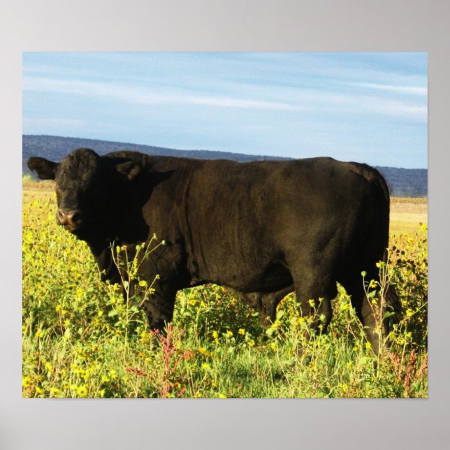 Big Black Bull in Sunflowers - Toro - Taurus Poster (Front)