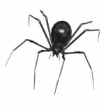 Big Black Creepy 3D Spider Cutout<br><div class="desc">Big Black Creepy 3D Spider Perfect for Halloween,  spider lovers and people who like creepy stuff and insects and all that. Printed on clothing,  gifts,  party favors,  trick-or-treat loot,  invitations,  posters,  footwear,  neck ties and more.  Our spider shoes go perfectly with zombie costumes!</div>