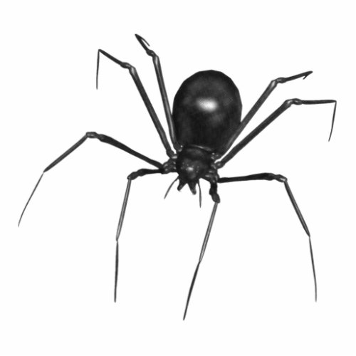 Big Black Creepy 3D Spider Cutout