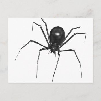 Big Black Creepy 3d Spider Postcard by VoXeeD at Zazzle