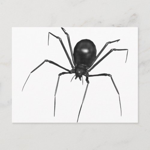 Big Black Creepy 3D Spider Postcard