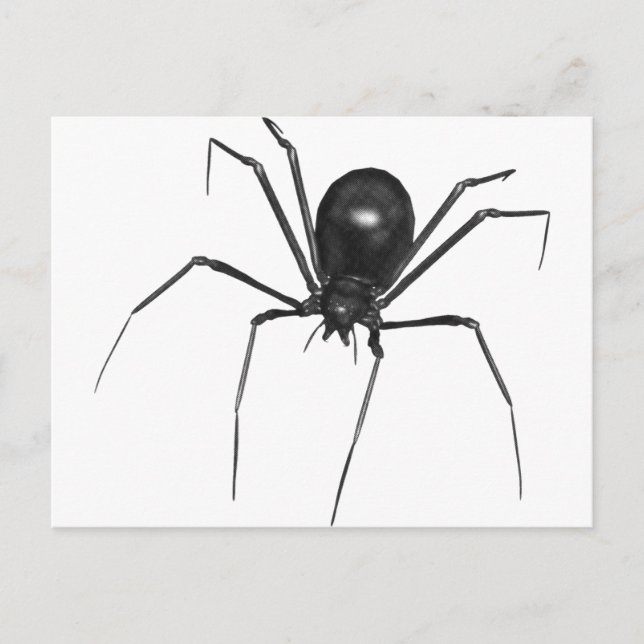 Big Black Creepy 3D Spider Postcard (Front)