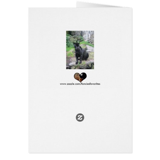 Big Black Jaguar Cat on Sitting on Rock (Back)