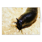 Big Black Slug (Front Horizontal)