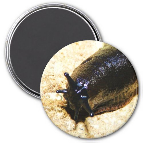 Big Black Slug Magnet