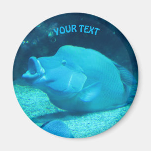 Big Blue Fish Magnet