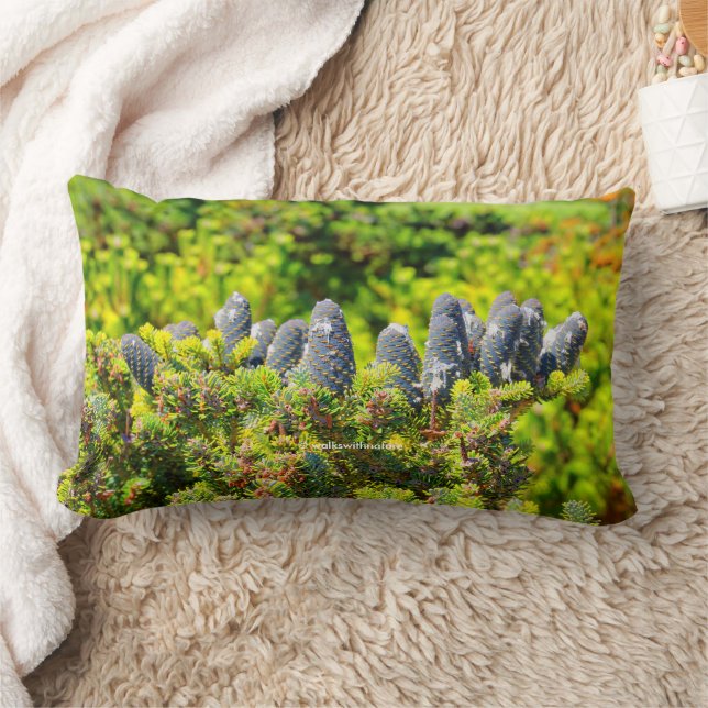 Big Blue Korean Fir and Cones Lumbar Pillow (Blanket)