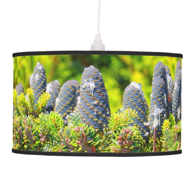 Big Blue Korean Fir Cones Hanging Lamp (Front)