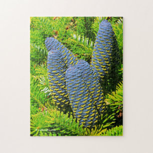 Big Blue Korean Fir Cones Jigsaw Puzzle