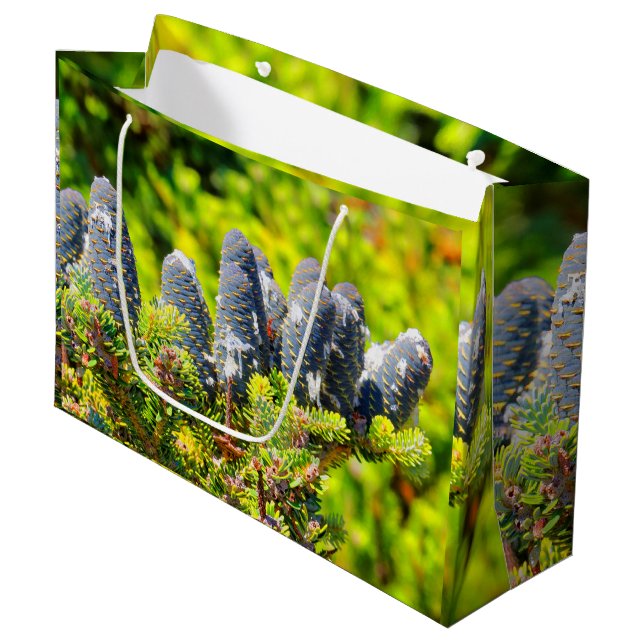 Big Blue Korean Fir Cones Large Gift Bag (Front Angled)