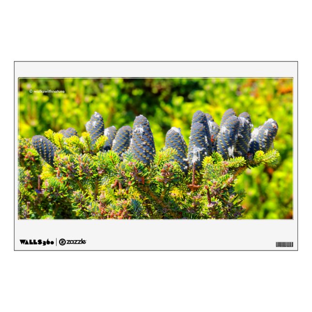 Big Blue Korean Fir Cones Wall Decal (Front)