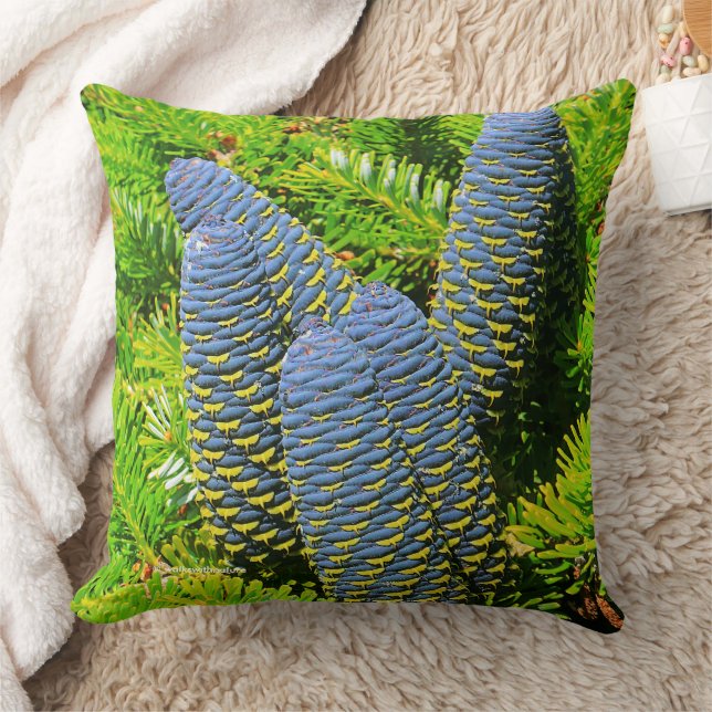 Big Blue Korean Fir Tree Cones Throw Pillow (Blanket)