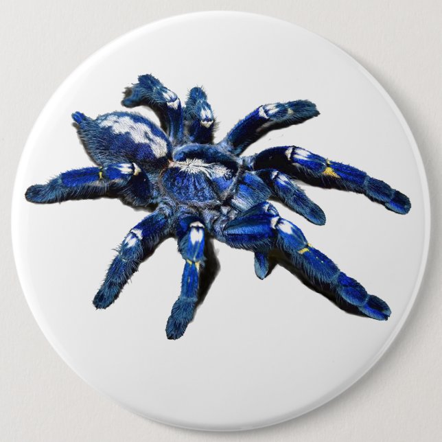 Big blue Tarantula spider, giant spider Button (Front)