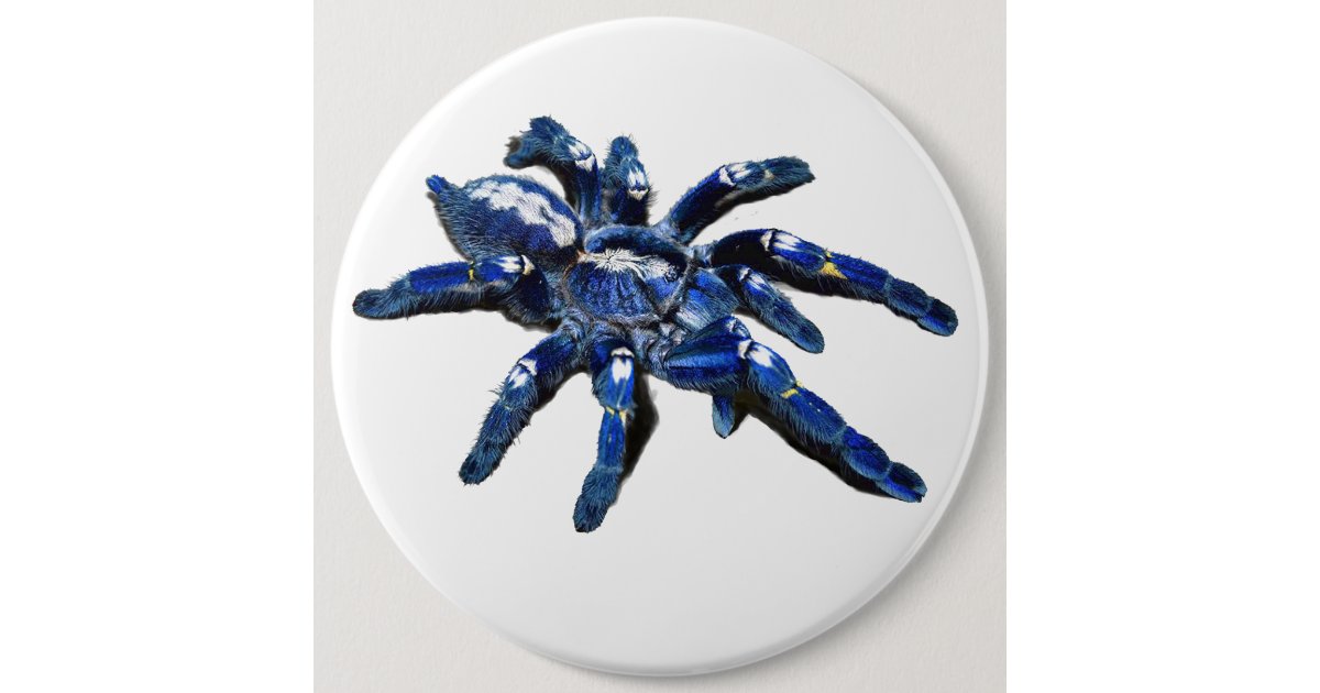 Big Blue Tarantula Spider Giant Spider Button Zazzle Com