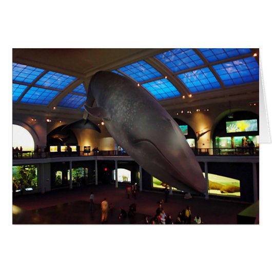 Big Blue Whale Cards (Front Horizontal)