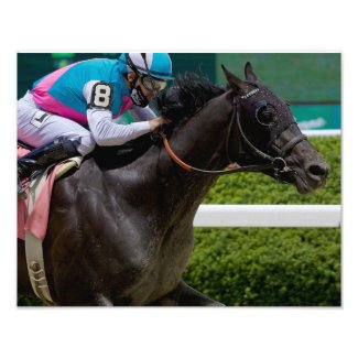 Big Bobby Breaking his Maiden at Belmont Park Photo Print