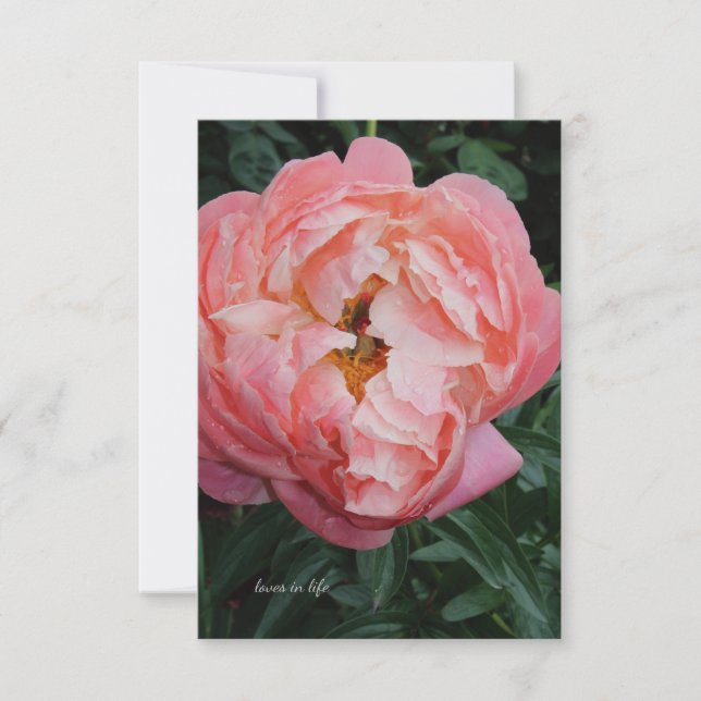 Big Bold Pink Peony Note Card (Front)