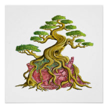 Big Bonsai in its broken vase