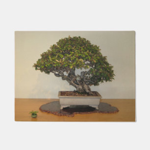 Big Bonsai Little Bonsai Washington DC Arboretum Doormat