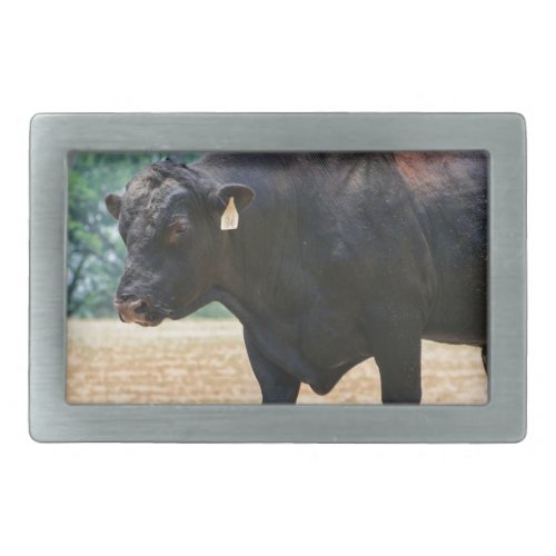 Big Boy Black Anqus Bull Belt Buckle