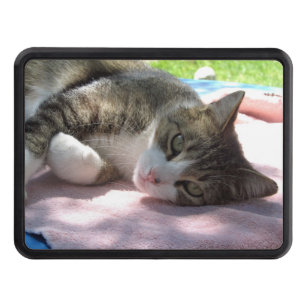 Big Boy On Table Trailer Hitch Cover