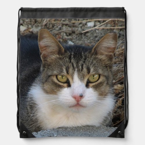 Big Boys Green Eyes Drawstring Backpack