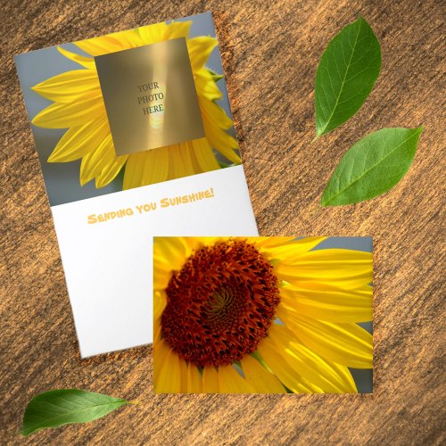 Big Bright Bold Sunflower Note Card