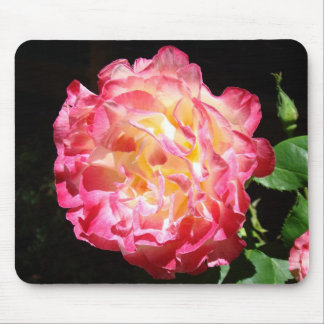 Big Bright Pink Rose Flower mousepads gifts