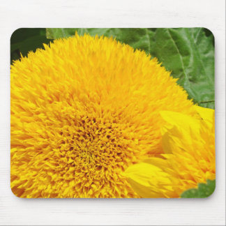 Big Bright Yellow Summer Sunflowers mousepads