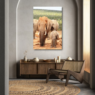 Big brother little brother elephant Canvas Framed