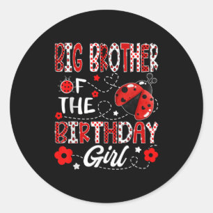 Big Brother Of The Birthday Girl Ladybug Big Broth Classic Round Sticker