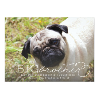 Big Brother Photo Pet Pregnancy Announcement