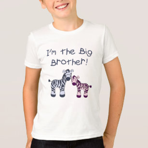 big sister little brother t shirt