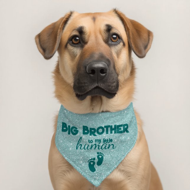 Big Brother to My Little Human Pet Bandana Collar (Dog 2)