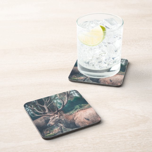 Big Brown Buck Deer with Large Antlers Beverage Coaster (Right Side)