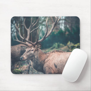 Big Brown Buck Deer with Large Antlers Mouse Pad