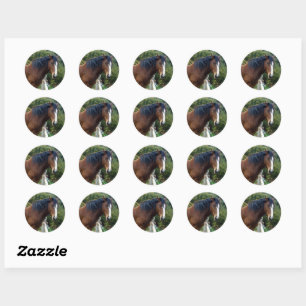 Big Brown Clydesdale Horse, Classic Round Sticker