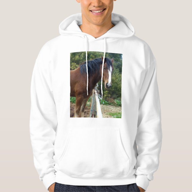 Big Brown Clydesdale Horse, Hoodie (Front)