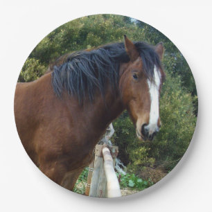 Big Brown Clydesdale Horse, Paper Plates