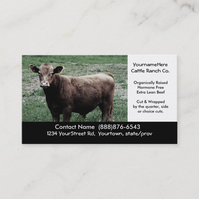 Big Brown Cow - Beef Farming or Ranching Card (Front)