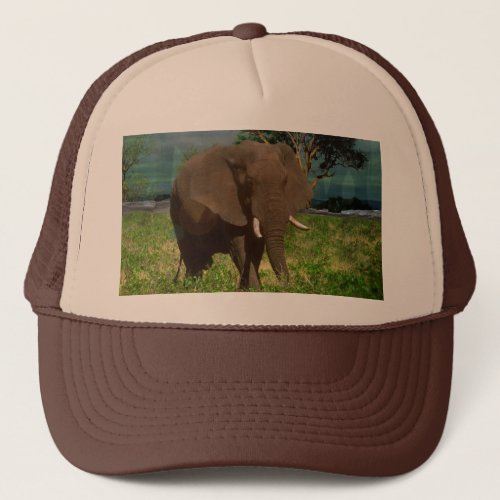 Big Brown Elephant Grazing    Trucker Hat