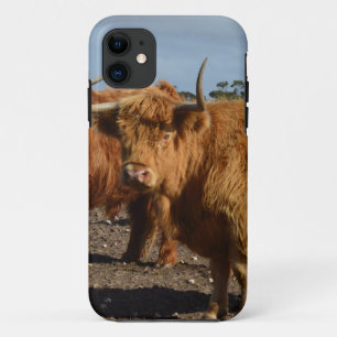 Big Brown Highland Cows, iPhone 11 Case