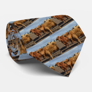 Big Brown Highland Cows, Full Print Neck Tie