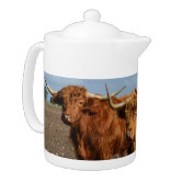 Teapot Highland Cow