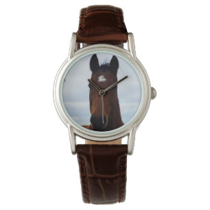 Big Brown Magnificent Farm Horse, Watch