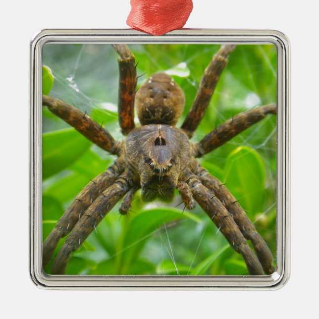 Big Brown Spider Metal Ornament (Front)
