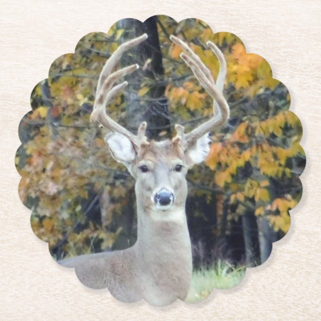 Big Buck Antlers Coaster (Front)