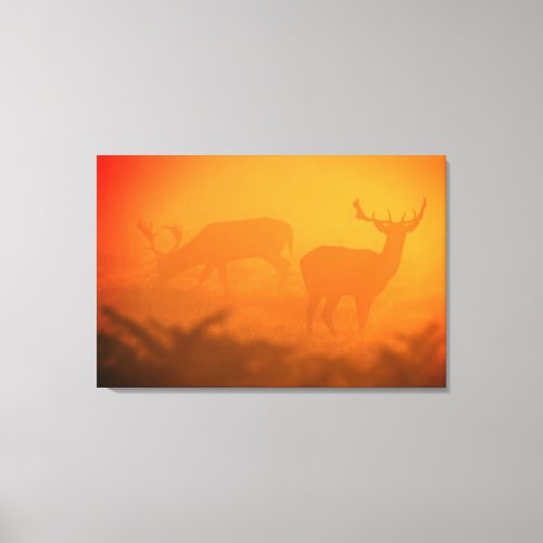 Big Buck at Sunset Several Sizes Burnt Orange Canvas Print