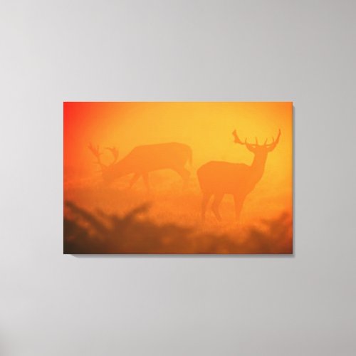 Big Buck at Sunset Several Sizes Burnt Orange Canvas Print