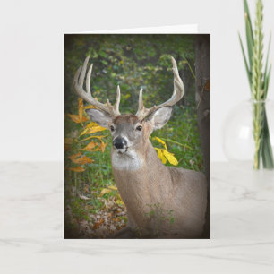 Big Buck Birthday Card